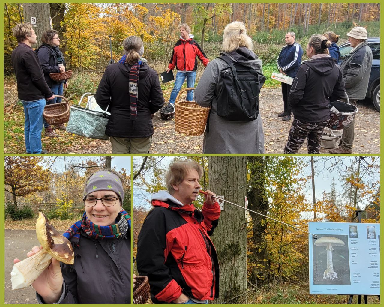 Pilzwanderung 2025 Einfuehrung